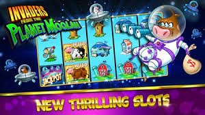 Live Casino dengan dealer profesional yang interaktif di halo77